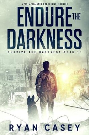 Cover of Endure the Darkness