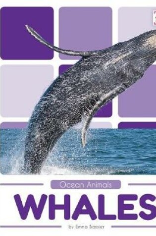 Cover of Whales