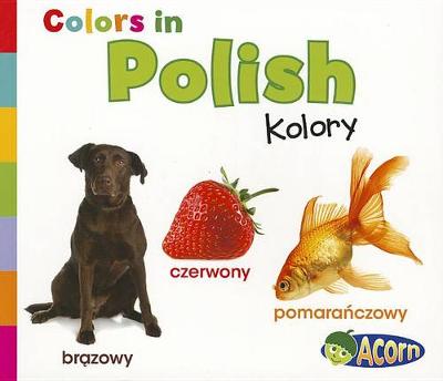 Book cover for Colors in Polish: Kolory (World Languages - Colors)