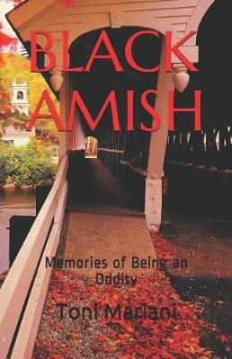 Book cover for Black Amish