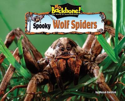 Book cover for Spooky Wolf Spiders