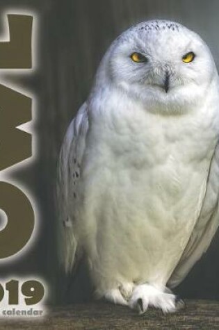 Cover of The Owl 2019 Mini Wall Calendar