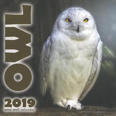 Book cover for The Owl 2019 Mini Wall Calendar