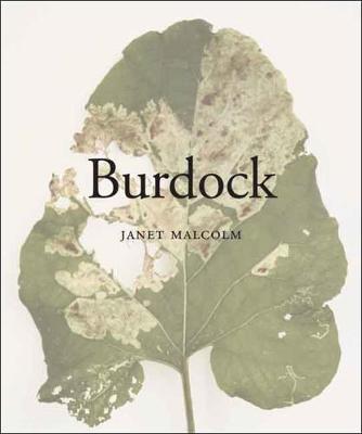 Book cover for Burdock