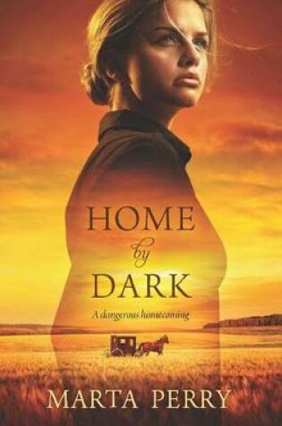 Cover of Home by Dark