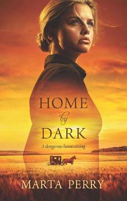 Book cover for Home by Dark