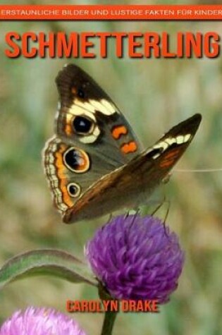 Cover of Schmetterling