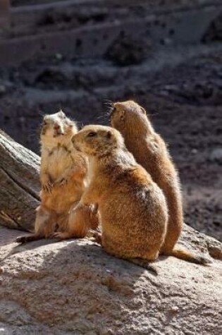 Cover of A Trio of Prairie Dogs Hanging Out Journal