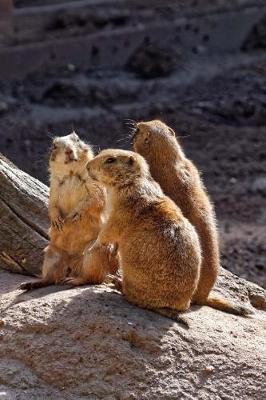 Book cover for A Trio of Prairie Dogs Hanging Out Journal