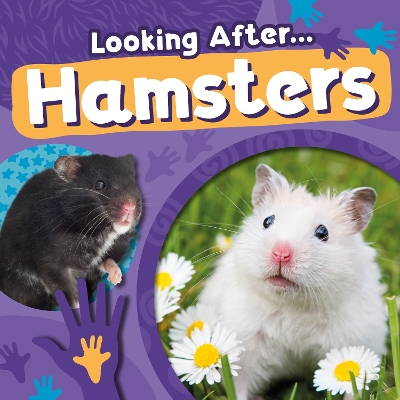 Cover of Hamsters