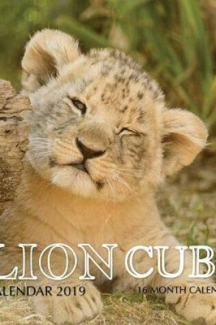 Cover of Lion Cubs Calendar 2019