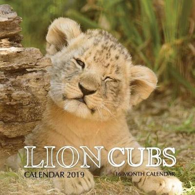 Book cover for Lion Cubs Calendar 2019