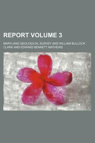 Cover of Report Volume 3