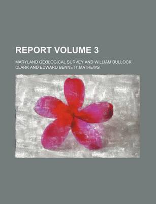 Book cover for Report Volume 3