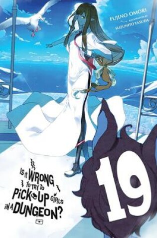 Cover of Is It Wrong to Try to Pick Up Girls in a Dungeon?, Vol. 19 (light novel)