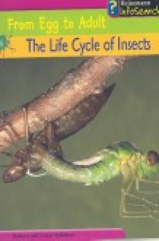 Cover of The Life Cycle of Insects