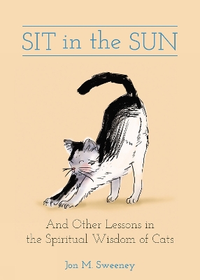 Book cover for Sit in the Sun