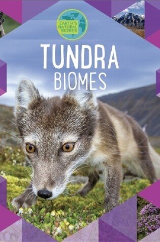 Cover of Earth's Natural Biomes: Tundra