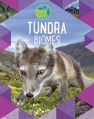 Book cover for Earth's Natural Biomes: Tundra
