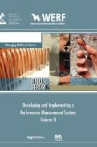 Cover of Developing and Implementing a Performance Measurement System: Volume 1