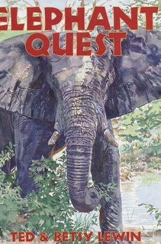 Cover of Elephant Quest