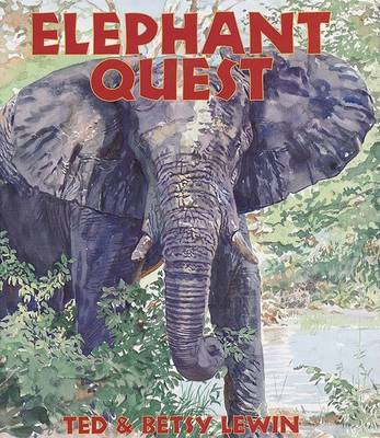Book cover for Elephant Quest