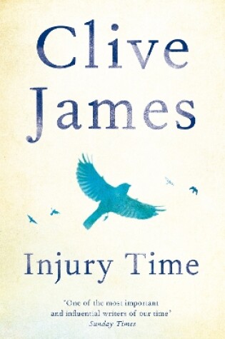 Cover of Injury Time