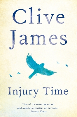 Book cover for Injury Time