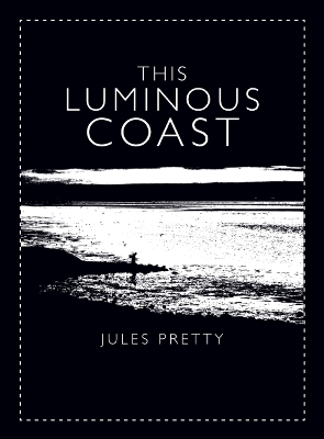 Book cover for This Luminous Coast