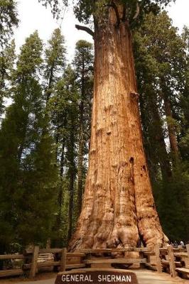 Book cover for General Sherman The Giant Sequoia Tree in California Journal