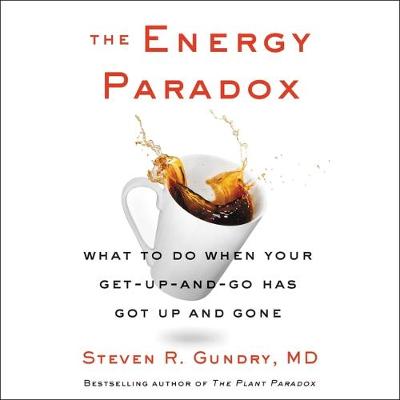 Book cover for The Energy Paradox