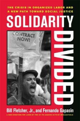 Cover of Solidarity Divided