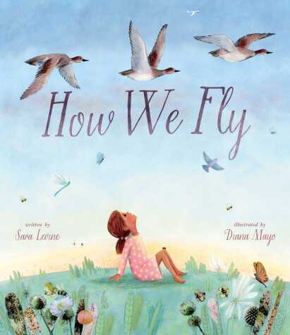 Book cover for How We Fly