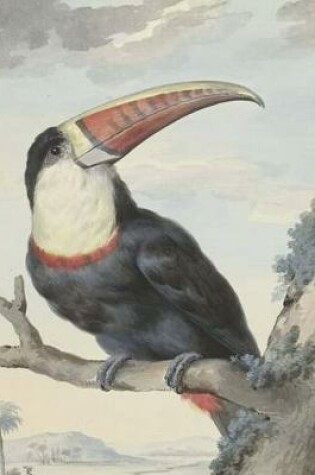 Cover of Red-Billed Toucan, Aert Schouman. Blank Journal