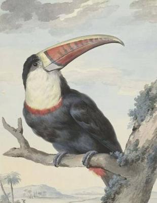 Book cover for Red-Billed Toucan, Aert Schouman. Blank Journal