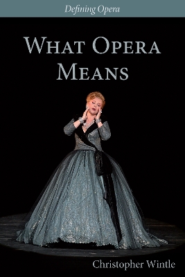 Book cover for What Opera Means