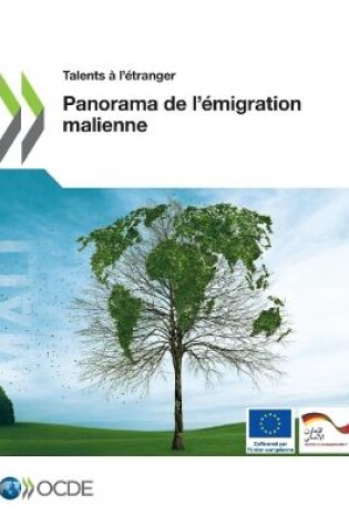 Cover of Talents � l'�tranger Panorama de l'�migration Malienne