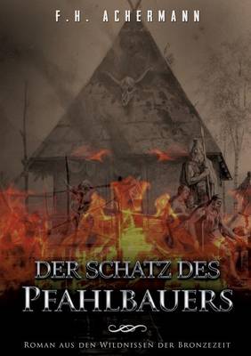 Book cover for Der Schatz des Pfahlbauers