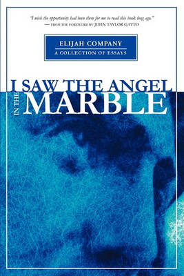 Book cover for I Saw the Angel in the Marble