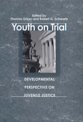 Book cover for Youth on Trial