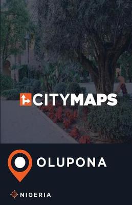 Book cover for City Maps Olupona Nigeria