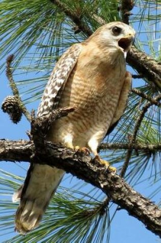 Cover of Red Shouldered Hawk, Birds of the World