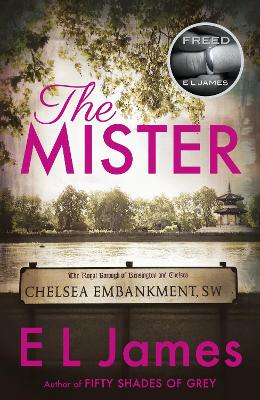 Book cover for The Mister