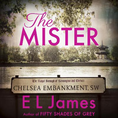 Book cover for The Mister