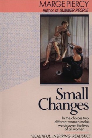 Cover of Small Changes