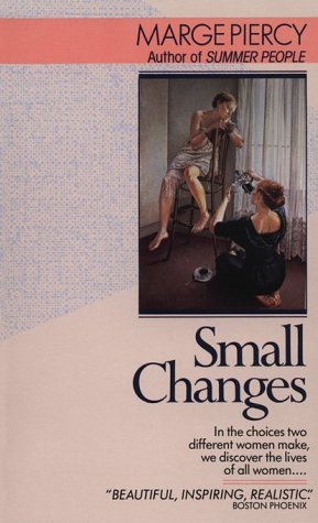 Book cover for Small Changes