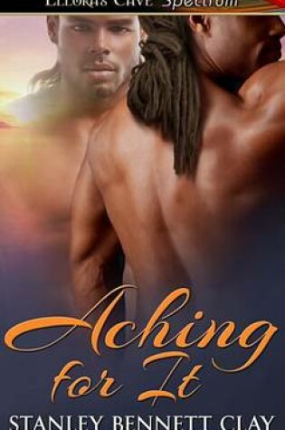 Cover of Aching for It