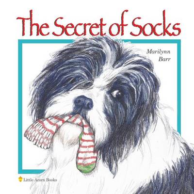 Book cover for The Secret of Socks