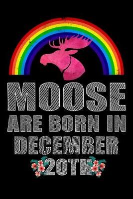 Book cover for Moose Are Born In December 20th