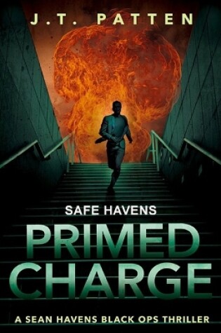 Cover of Safe Havens